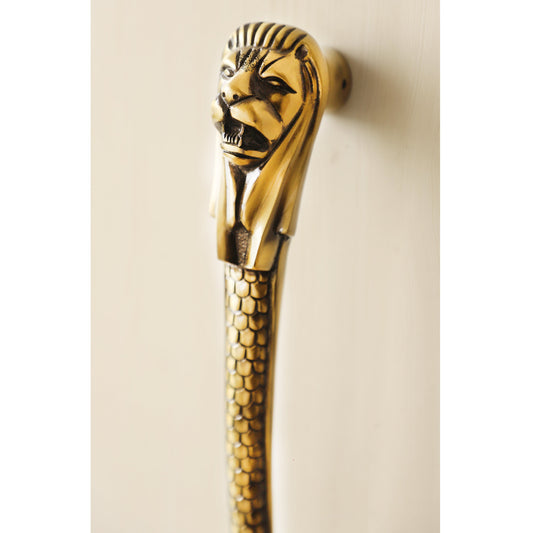 Brass-Finished Aluminum Door Handle with Lion Head Design