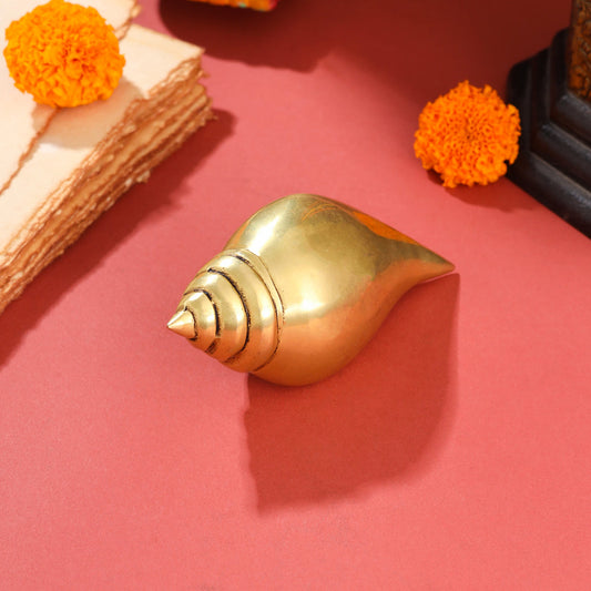 Brass Conch (5 Inch)