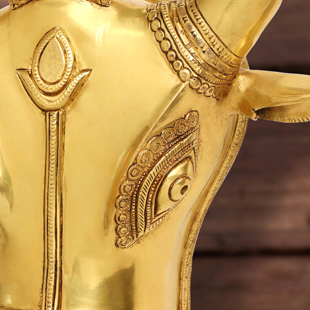 Brass Bull Head Wall Hanging (18 Inch)
