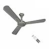 Havells 1200mm Bianca BLDC Motor Ceiling Fan | 5 Star RF Remote, 100% Copper, High Air Delivery, Upto 60% Energy Saving | ECO Active Technology, Flexible Timer Setting | (Pack of 1, Slate)