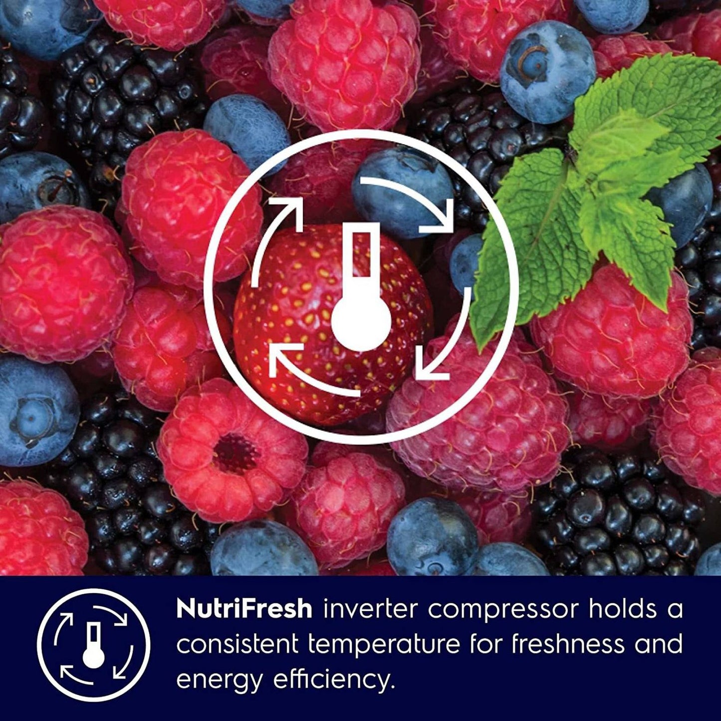 Electrolux UltimateTaste 300 335 Litres 1 Star Frost Free Double Door Bottom Mount Refrigerator with Door Alarm (EBB3702K-H, Glossy Black Steel)