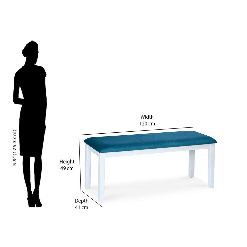 Nilkamal Lawson 6 Seater Dining Set with Bench (White)