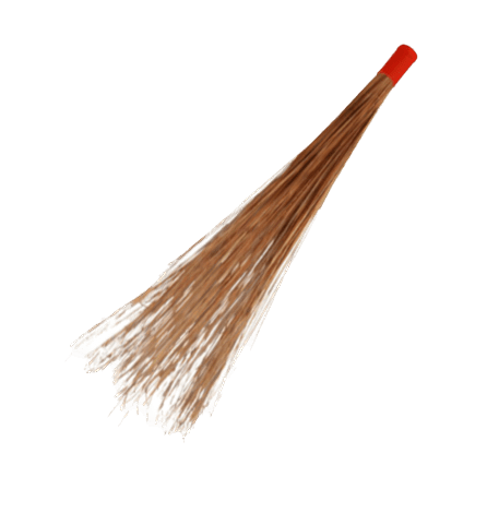 Coconut broom