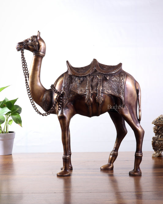 Pure Brass Camel Statue | Vastu Showpiece for Home & Office | 17"
