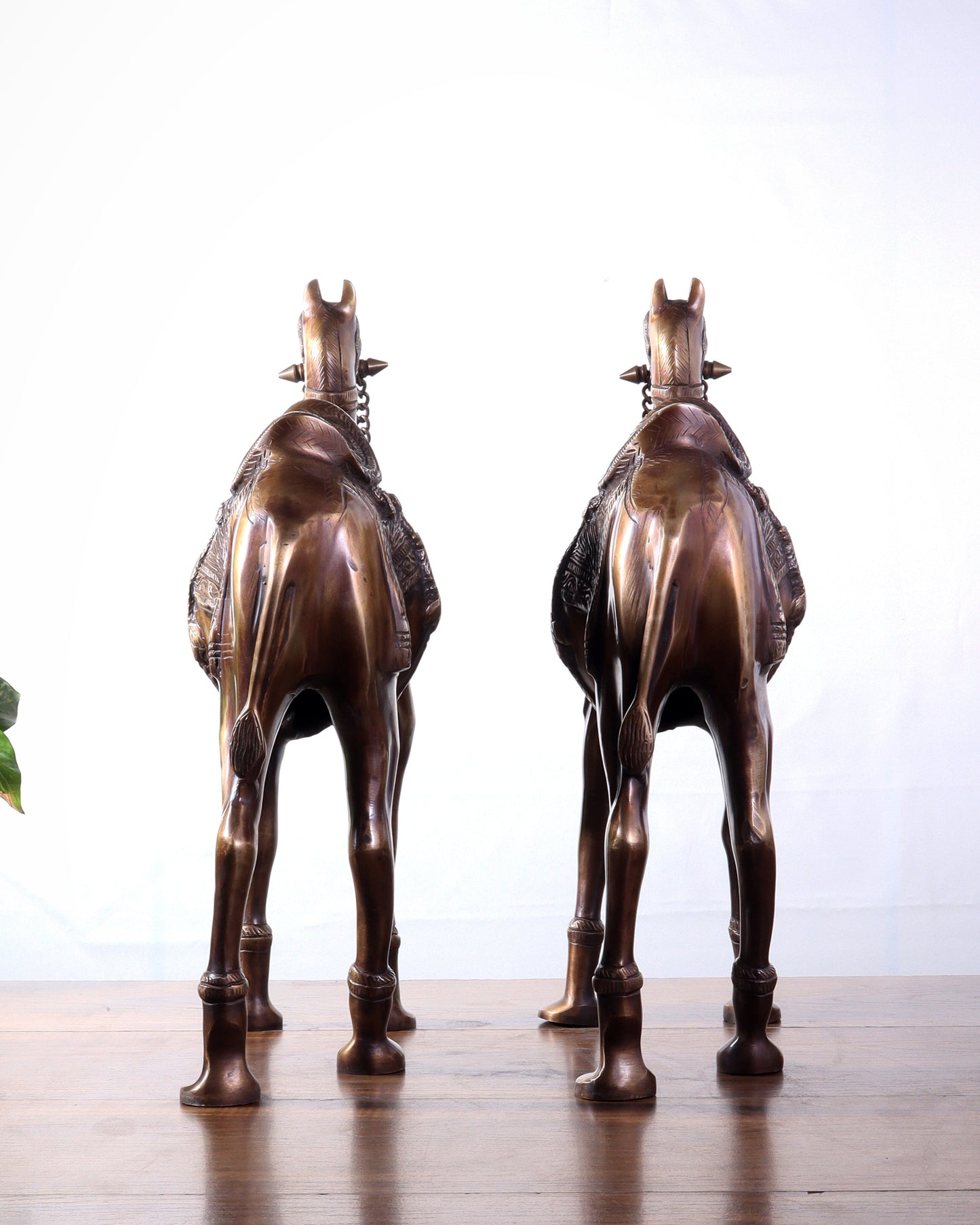 Pure Brass Camel pair Statues | Vastu Showpiece for Home & Office | 17"