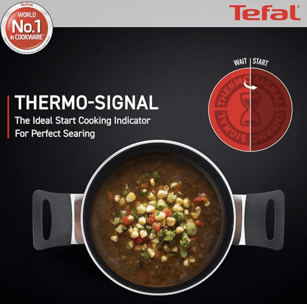 Tefal Day by Day Non Stick Stewpot, Smart Thermo Signal Temperature Indicator Technology, Titanium Coating, Black, DDST-20,Brown,Day by Day/DDST-20