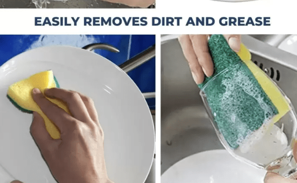 Cleaning Concepts Scrub and Sponge Scrub Sponge (Regular, Pack of 3)