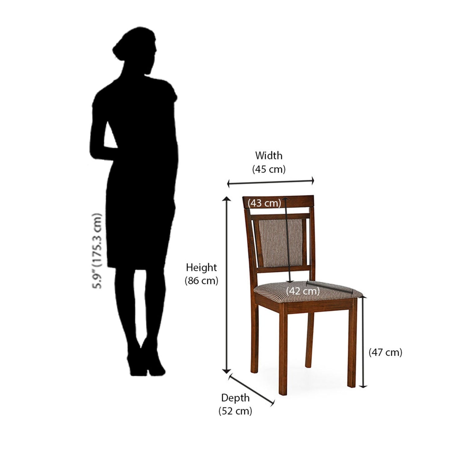 Nilkamal Tune Dining Chair (Walnut)