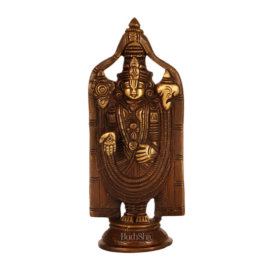 Brass tirupati Balaji statue 8"