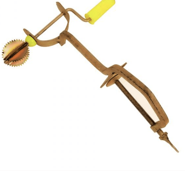 Iron Coconut Thuruval: Delicious Iron-Rich Coconut Treats