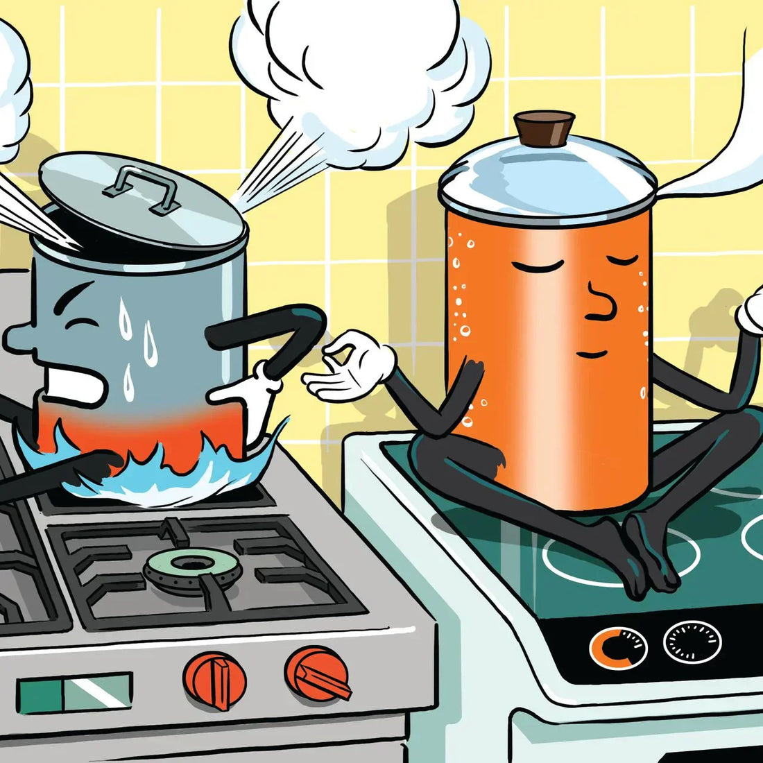 Induction Stove vs Gas Stove: Making the Right Choice for Your Kitchen