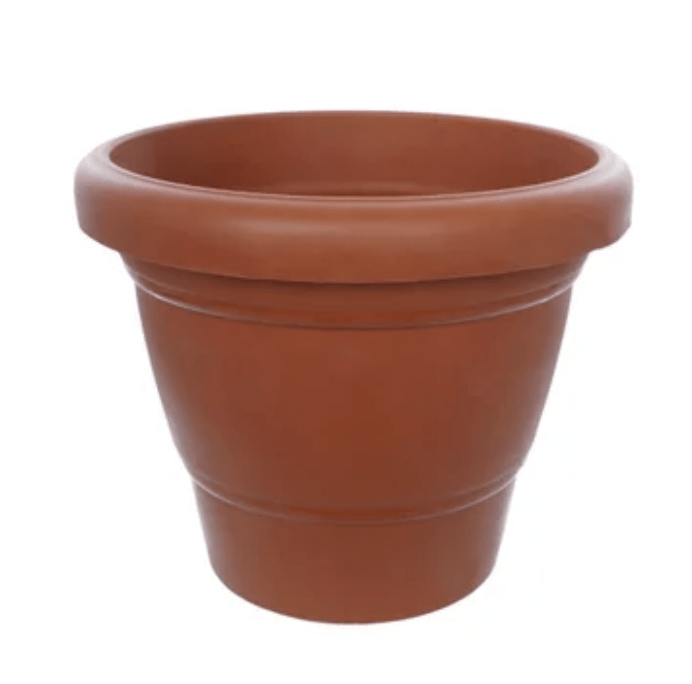 Flower Pot