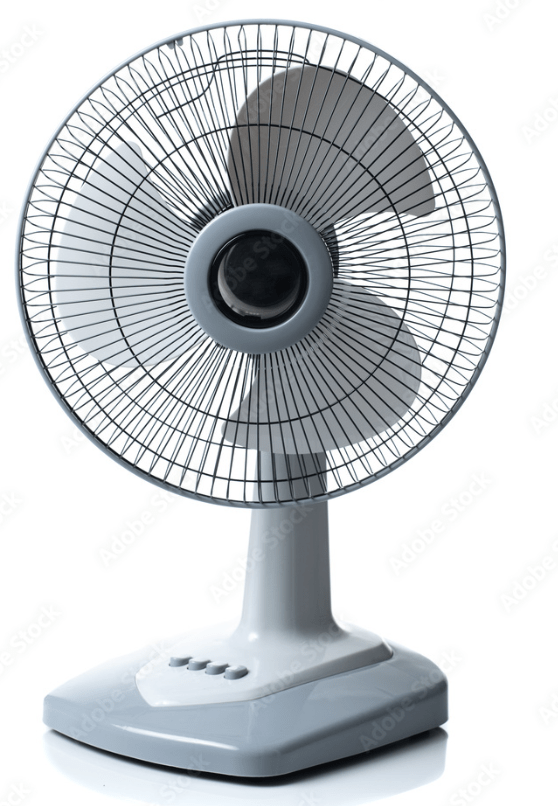 Fan