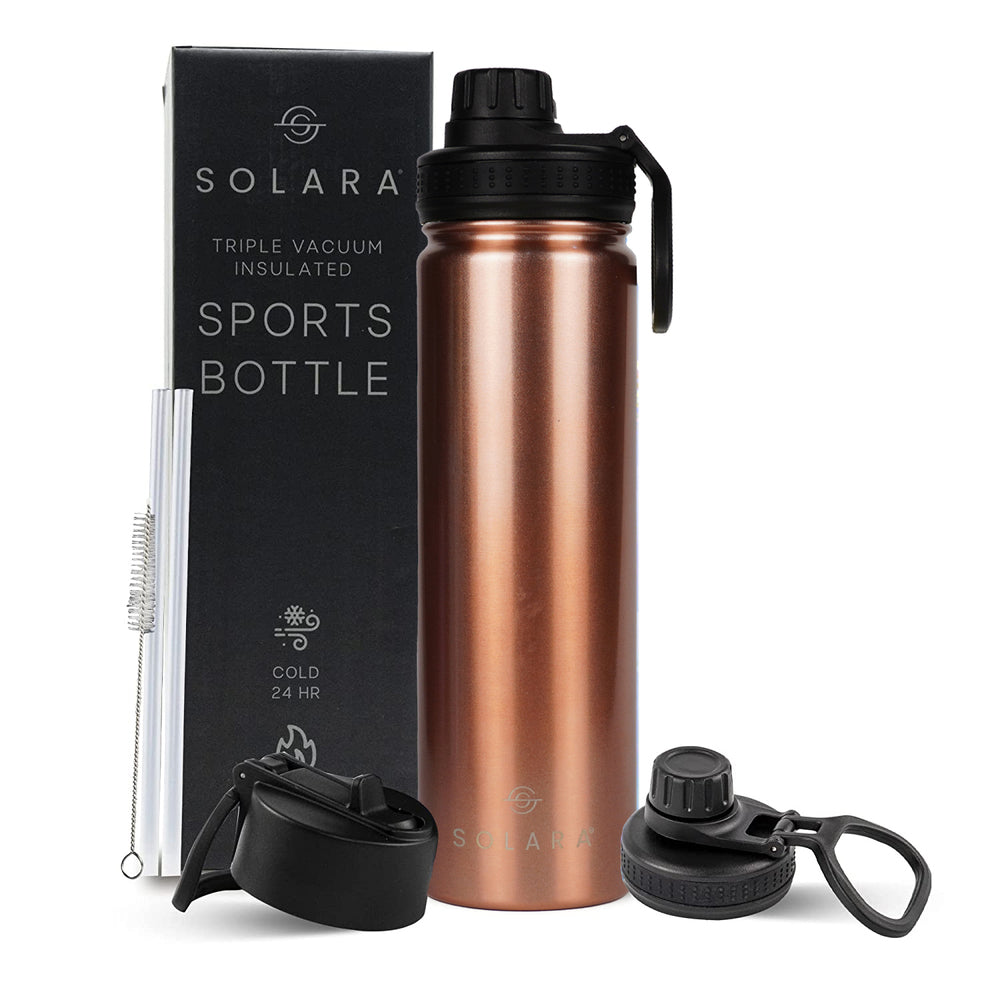 Insulated Water Bottle 650 ML