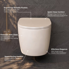 Plantex Imported Ceramic Toilet/Wall Mounted Commode/Rimless Washdown Western Toilet with Soft Close Toilet Seat Cover - P Trap (3043- Matt Khaki)-3