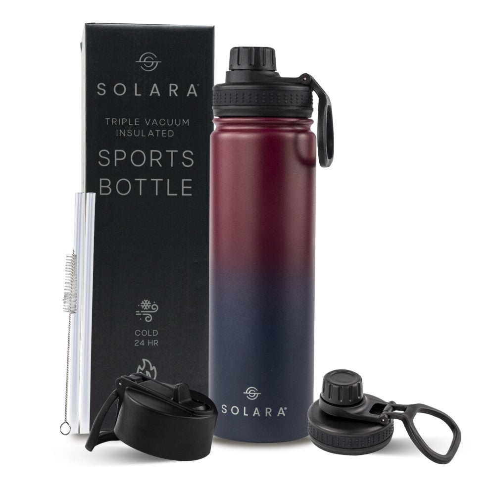 Insulated Water Bottle 650 ML
