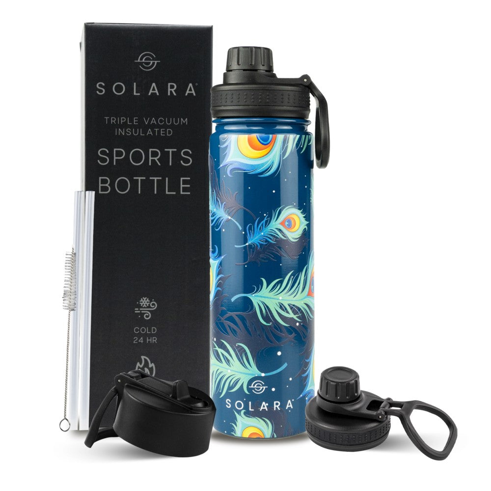 Insulated Water Bottle 650 ML