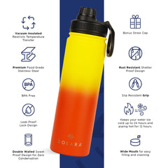 Insulated Water Bottle 650 ML