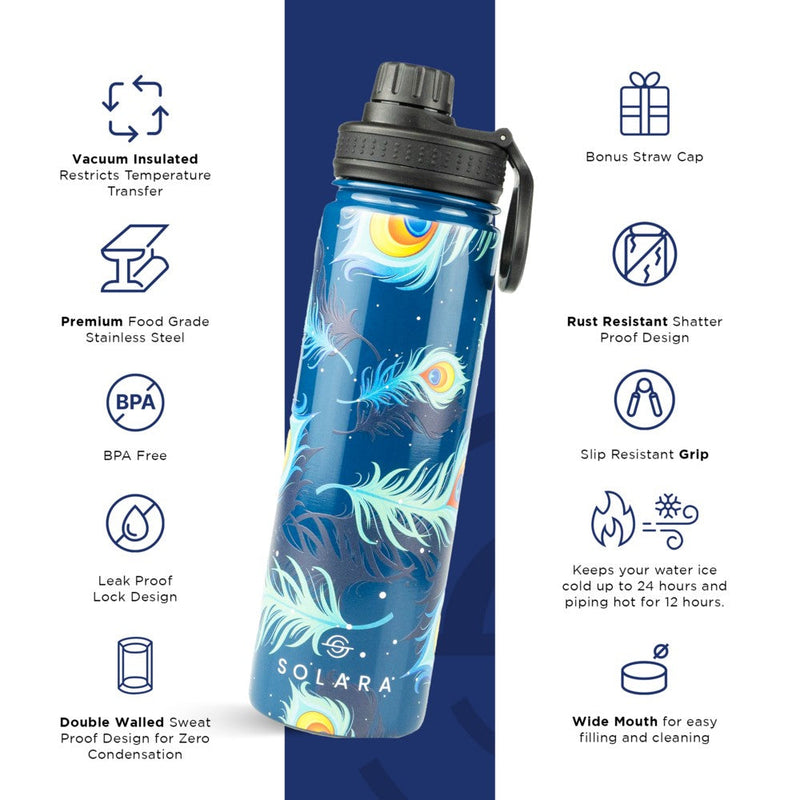 Insulated Water Bottle 650 ML