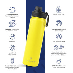 Insulated Water Bottle 650 ML