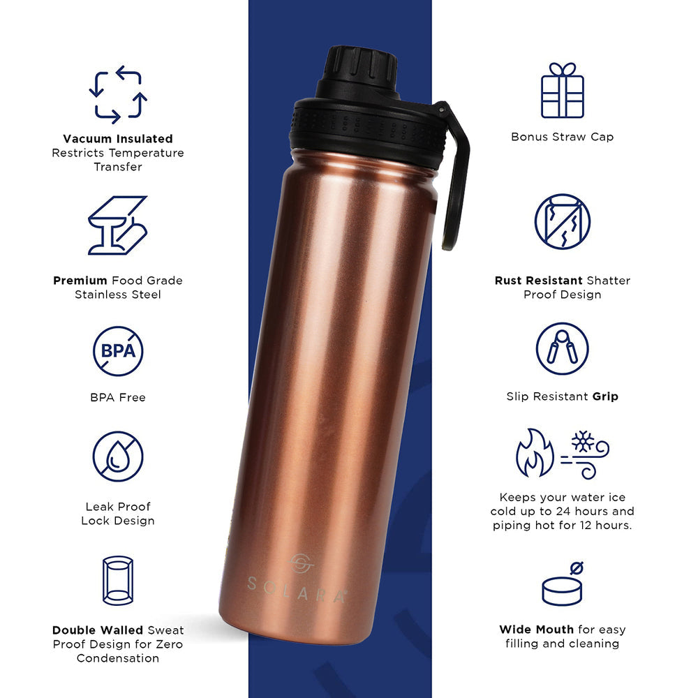 Insulated Water Bottle 650 ML