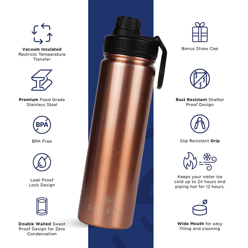Insulated Water Bottle 650 ML