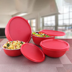 Stainless Steel 4 PCS Storage Bowl with Solid Lid Euro