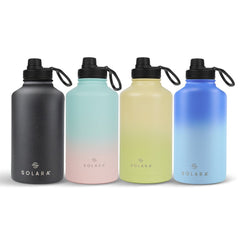 Insulated Water Bottle 650 ML