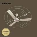 HAVELLS Ambrose with 2 Year Warranty 1200 mm Ceiling Fan (Gold mist Wood | Pack of 1)