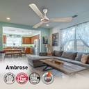 HAVELLS Ambrose with 2 Year Warranty 1200 mm Ceiling Fan (Gold mist Wood | Pack of 1)