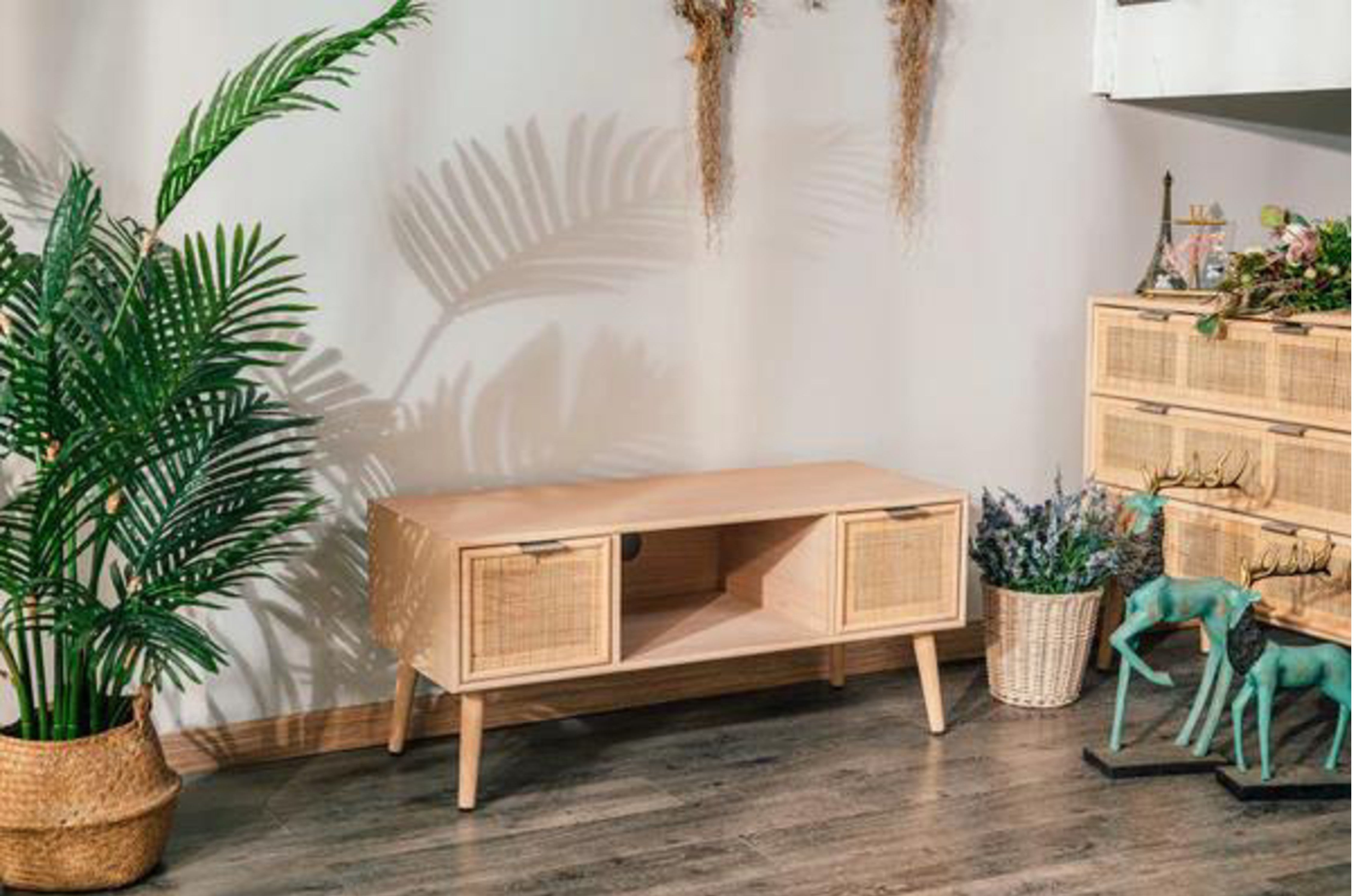 Varnisa TV Console with Storage