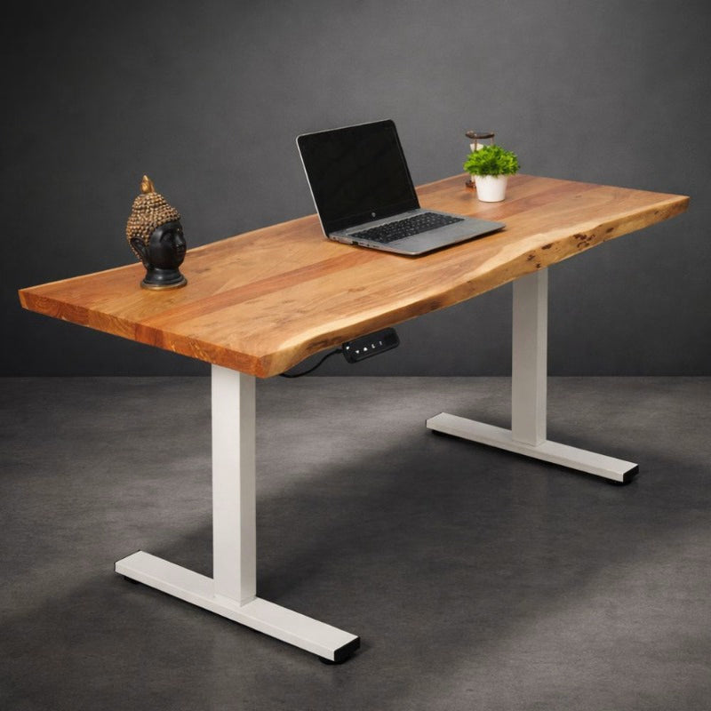 Electric Height Adjustable Standing Desk with Live Edge Solid Wood Desk with Multiple top options