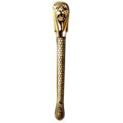 Brass-Finished Aluminum Door Handle with Lion Head Design
