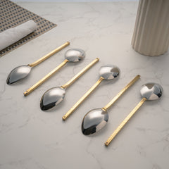 Steel Spoon With Brass handle