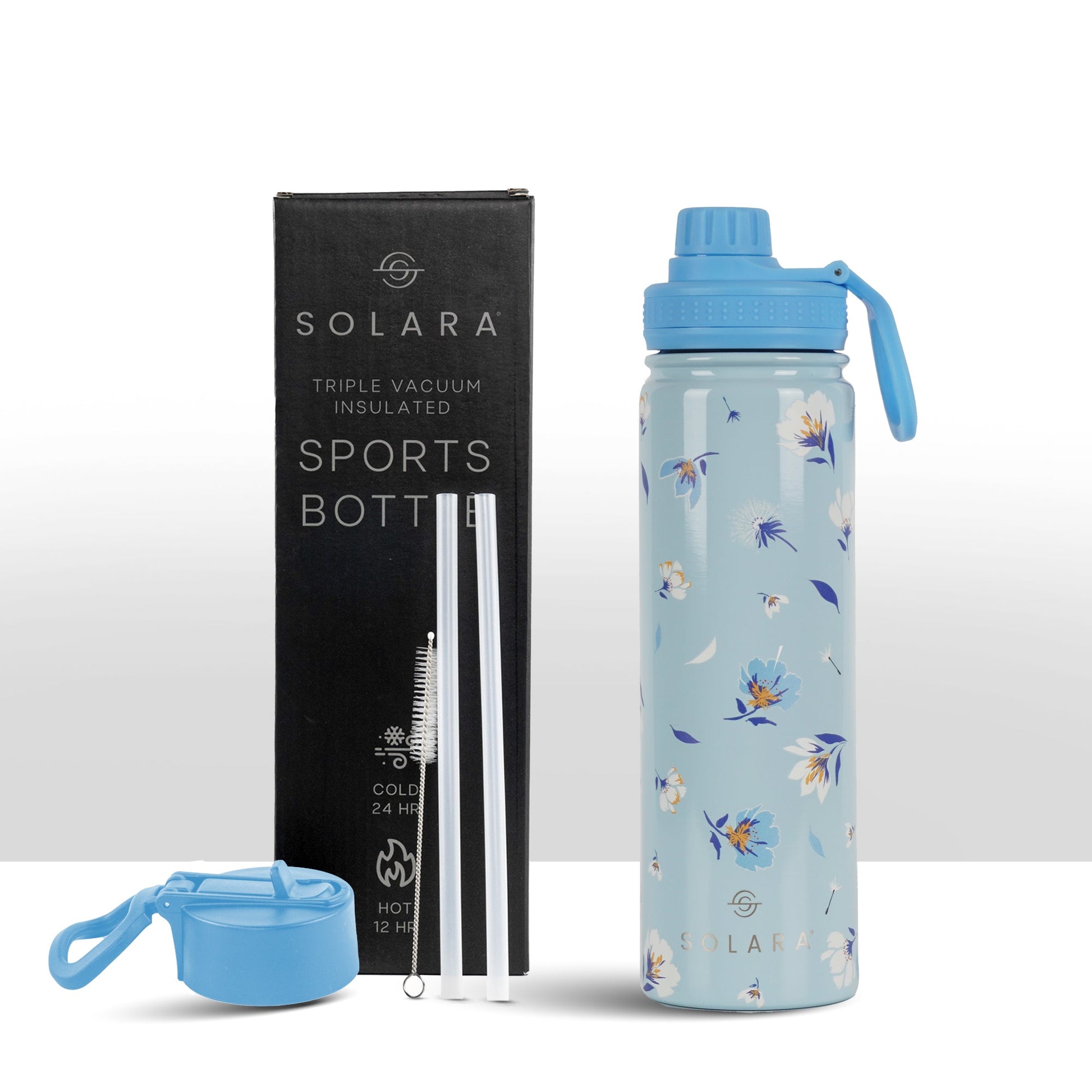 Insulated Water Bottle 650 ML