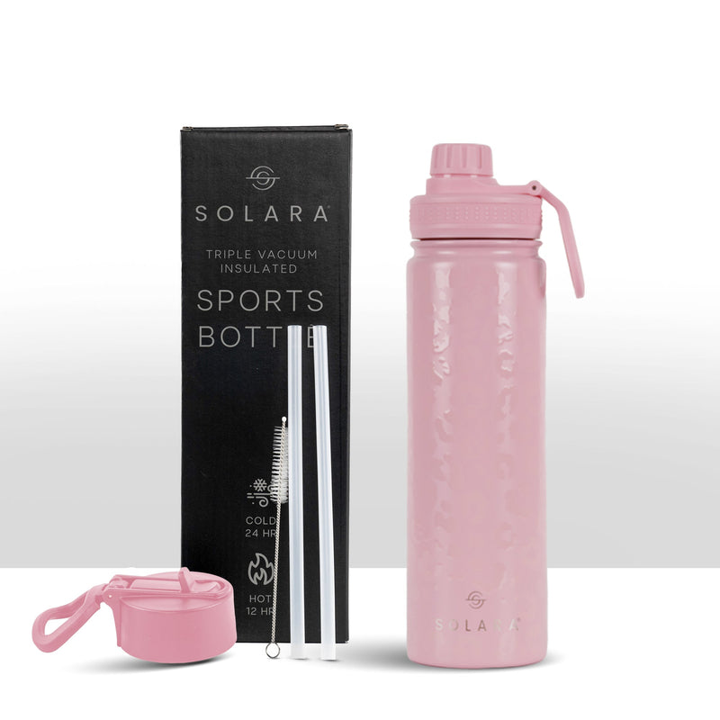 Insulated Water Bottle 650 ML