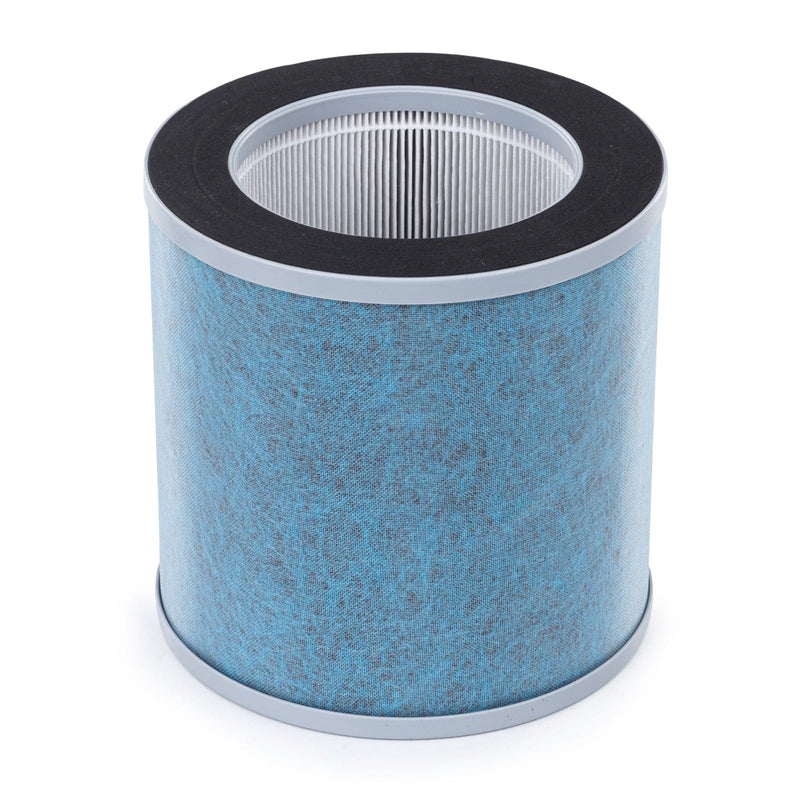 AGARO Royal HEPA Filter High performance, Traps 99% Dust, Bacteria, Allergens and Pollutants