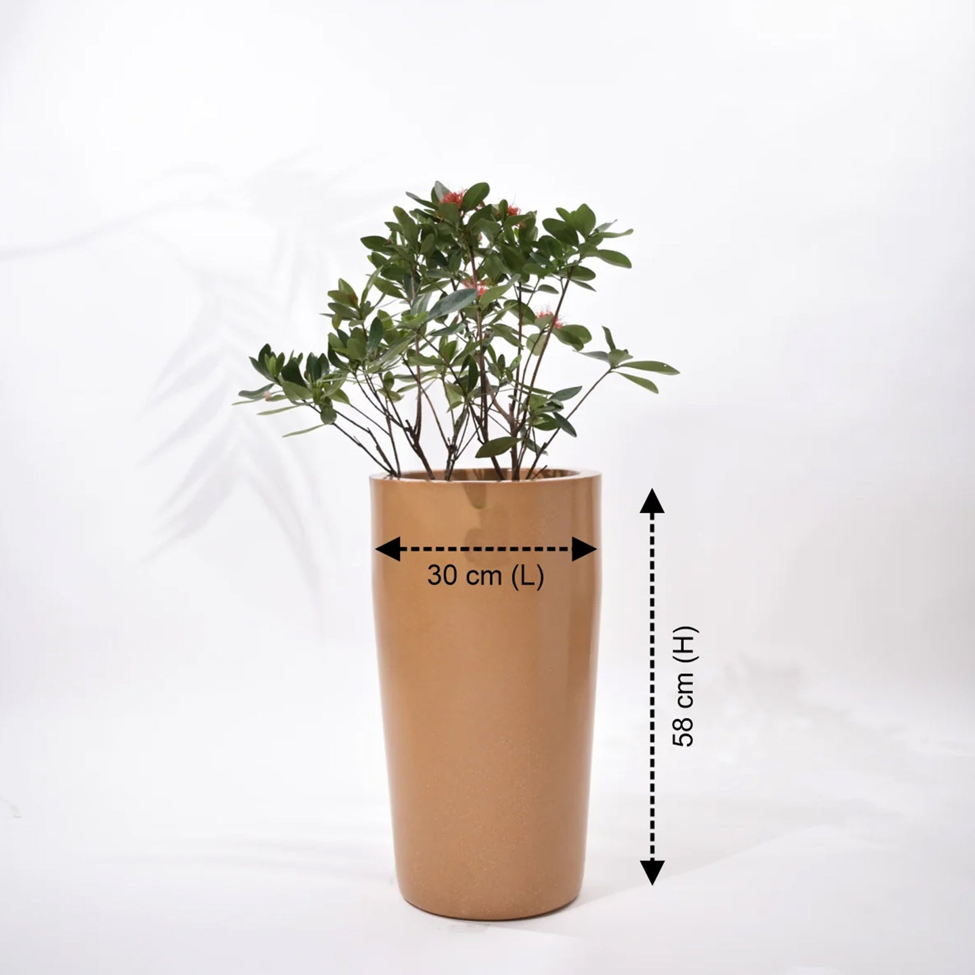 Cylindro Outdoor Polymer Planters For Garden, Balcony (Medium)