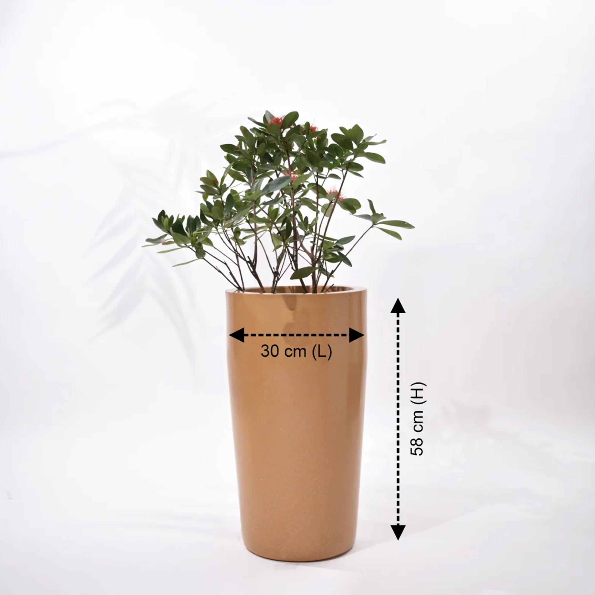 Cylindro Outdoor Polymer Planters For Garden, Balcony (Medium)