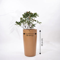 Cylindro Outdoor Polymer Planters For Garden, Balcony (Medium)