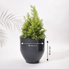 Cup Outdoor Polymer Planters For Garden, Balcony (Pair Of Large, Small And Medium)