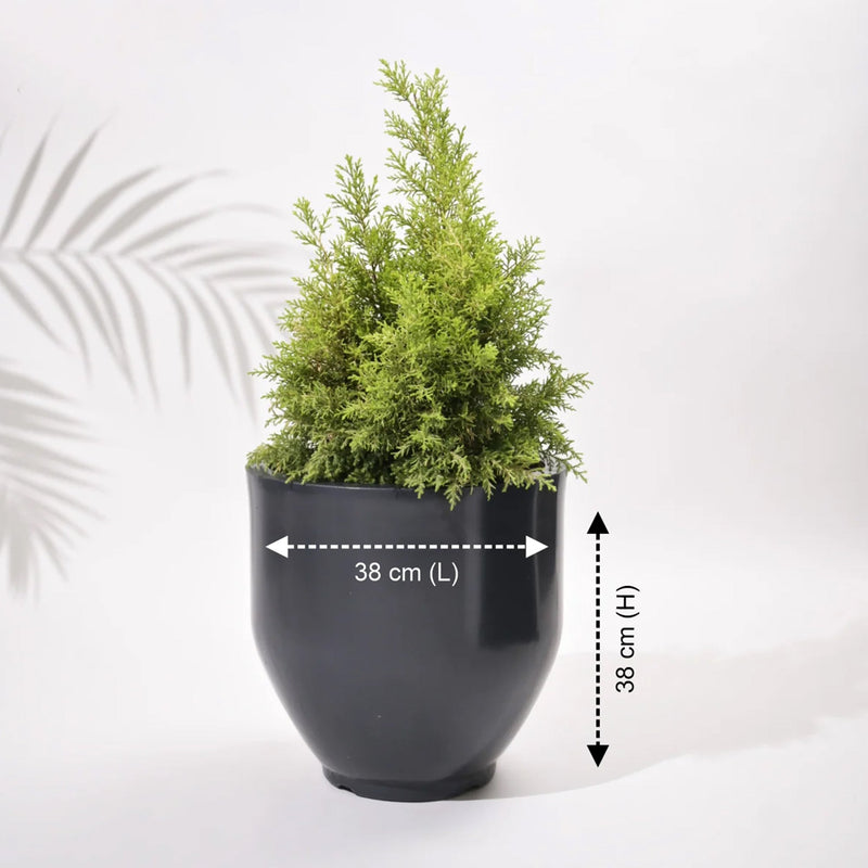 Cup Outdoor Polymer Planters For Garden, Balcony (Pair Of Large, Small And Medium)