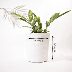 Rib Bucket Tower Outdoor Polymer Planters For Garden, Balcony (Medium) (Pair of Two)
