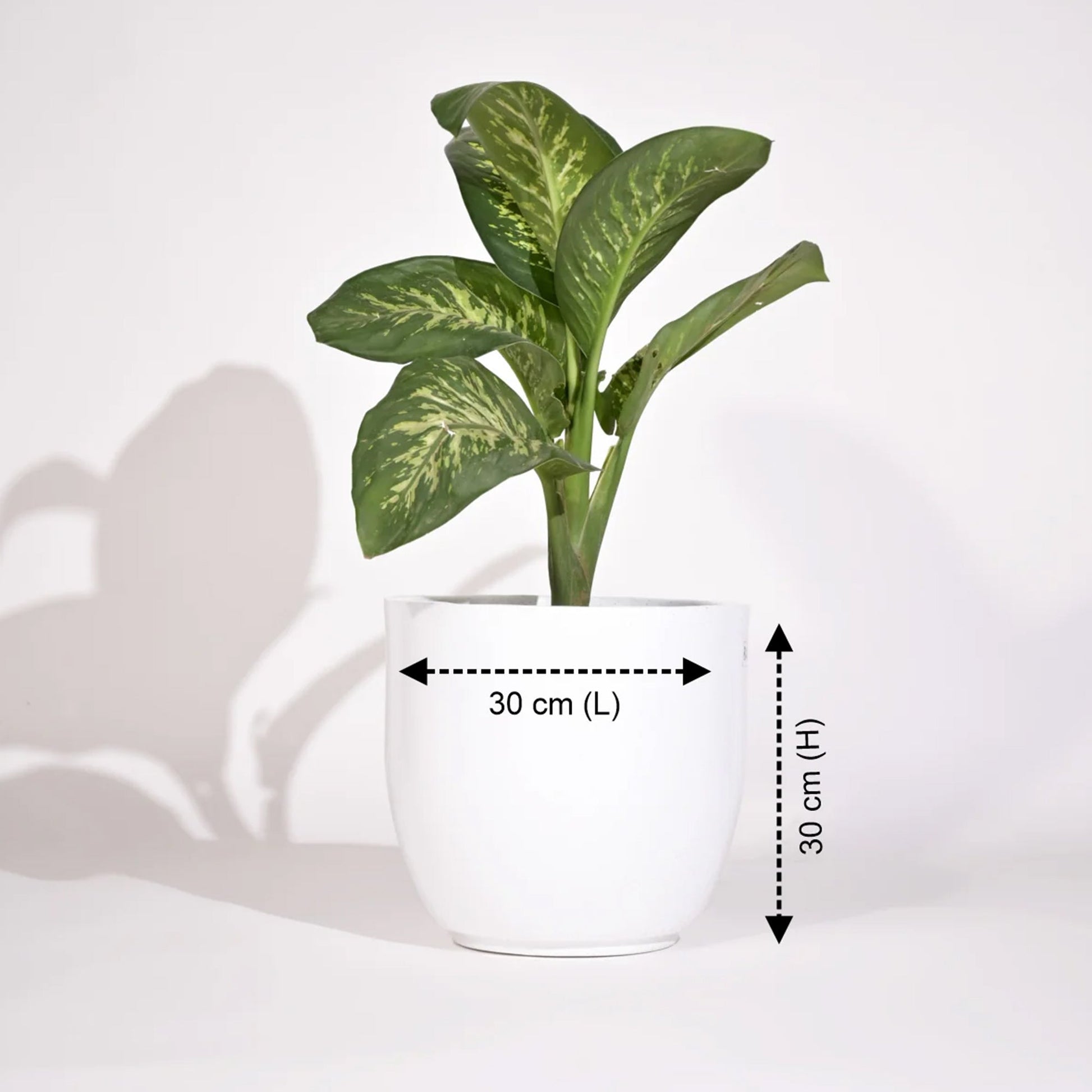Cup Outdoor Polymer Planters For Garden, Balcony (Pair Of Large And Medium)