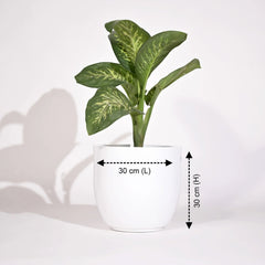 Cup Outdoor Polymer Planters For Garden, Balcony (Pair Of Large And Medium)