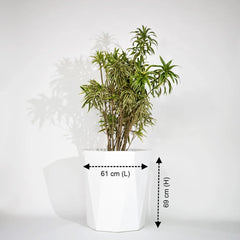 Diamond Outdoor Polymer Planters For Garden, Balcony (Pair Of Large, Small And Medium)