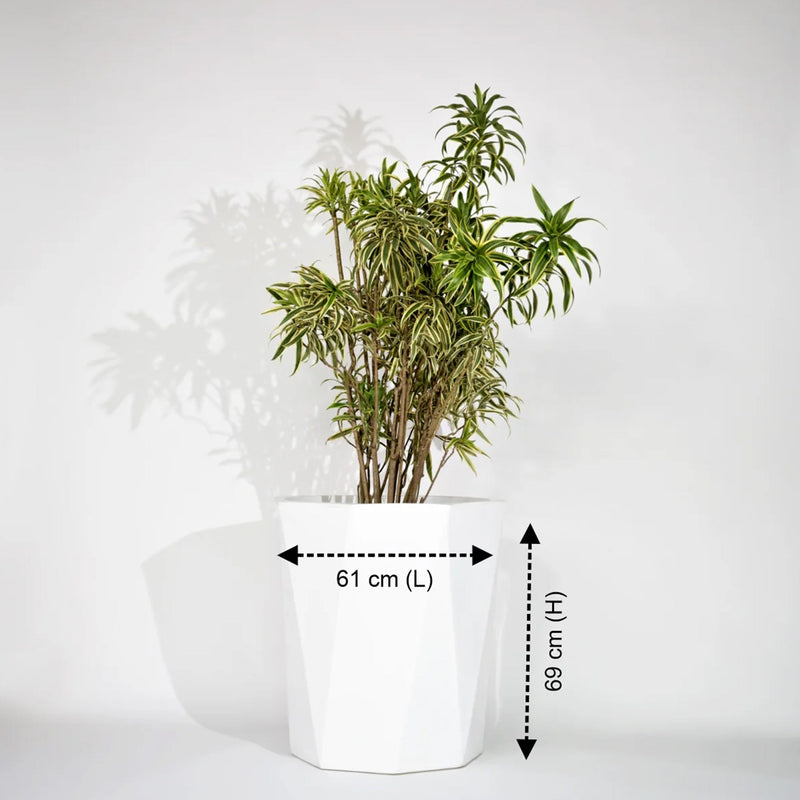 Diamond Outdoor Polymer Planters For Garden, Balcony (Pair Of Large, Small And Medium)