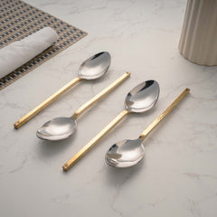 Steel Spoon With Brass handle
