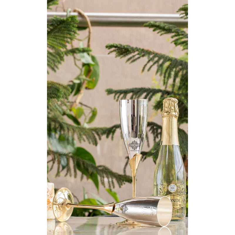 Silver Plated Champagne Flutes Set of 2 with Gift Box