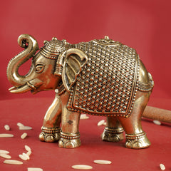 Brass Elephant Showpiece with Raised Trunk